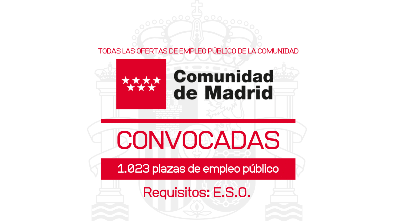 empleo público