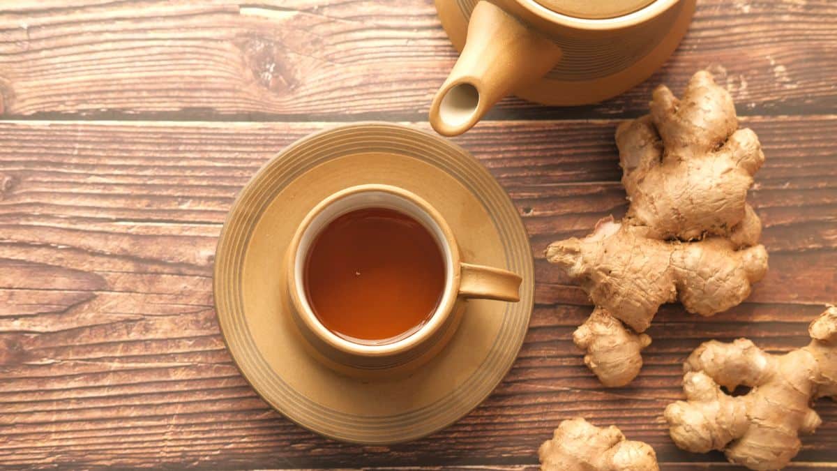 El jengibre es el mejor sustituto del café.