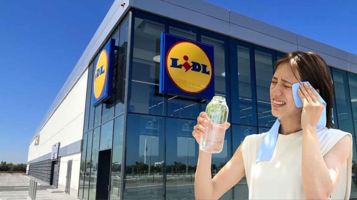 Verano en Lidl.