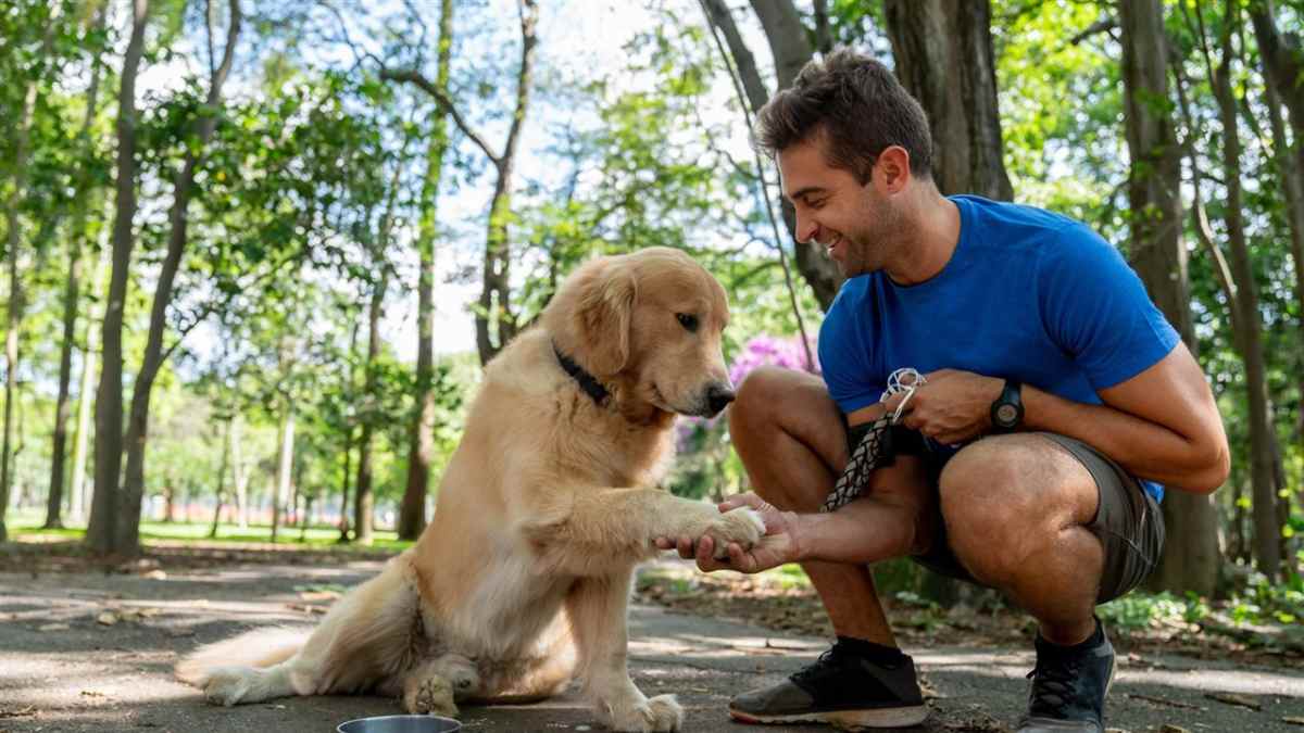 Hombre cuida a su perro en el parque tras la Ley de Bienestar Animal en España.