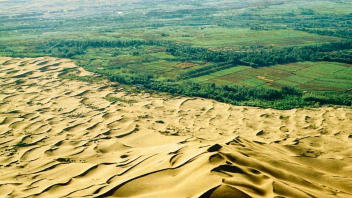 Avance del desierto frente a zonas verdes en China por la desertificación y el fracaso del muro verde