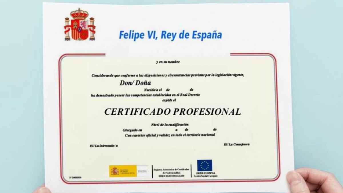 certificado profesional oficial publicado en el BOE firmado por Felipe VI