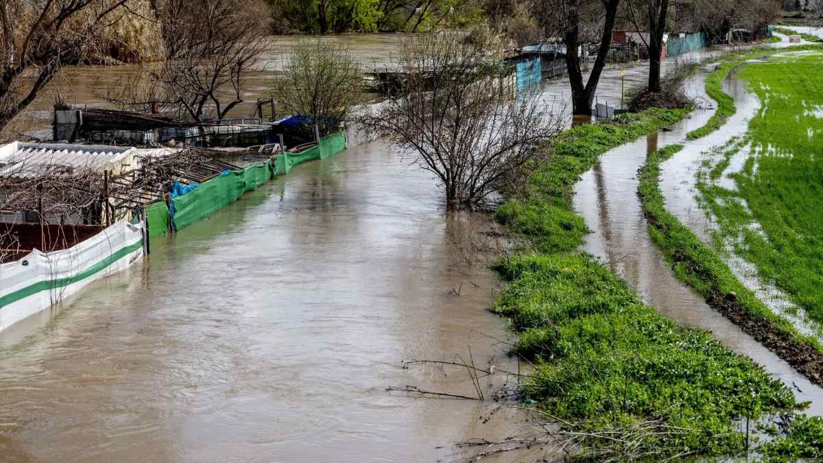Crecida del río Jarama con zonas anegadas por las lluvias y avisos rojos por riesgo de desbordamiento en Madrid
