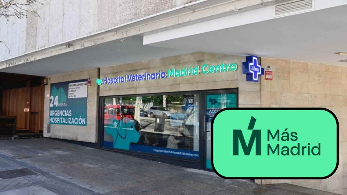 Hospital veterinario en Madrid relacionado con la propuesta de Más Madrid para crear un hospital veterinario público