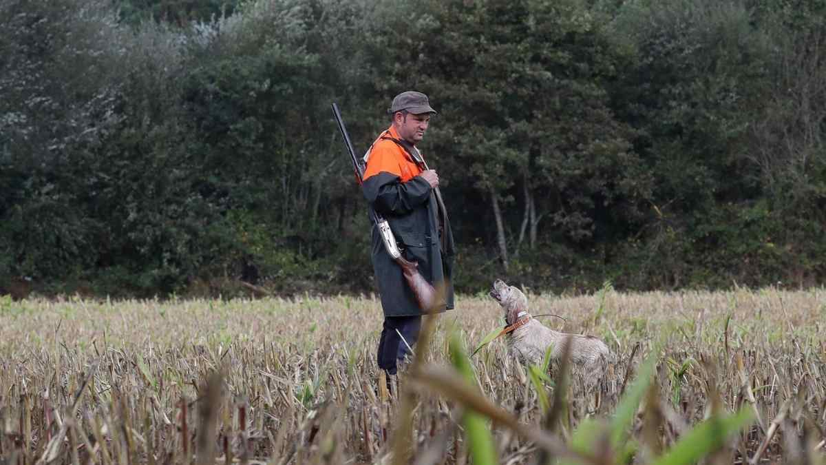 Un cazador con su perro en un coto de Madrid tras la aprobación de la nueva Ley de Caza y Pesca