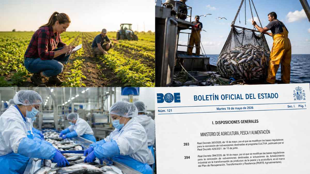 Cambios del BOE en el programa CULTIVA y ayudas al sector pesquero y acuícola del PERTE Agroalimentario