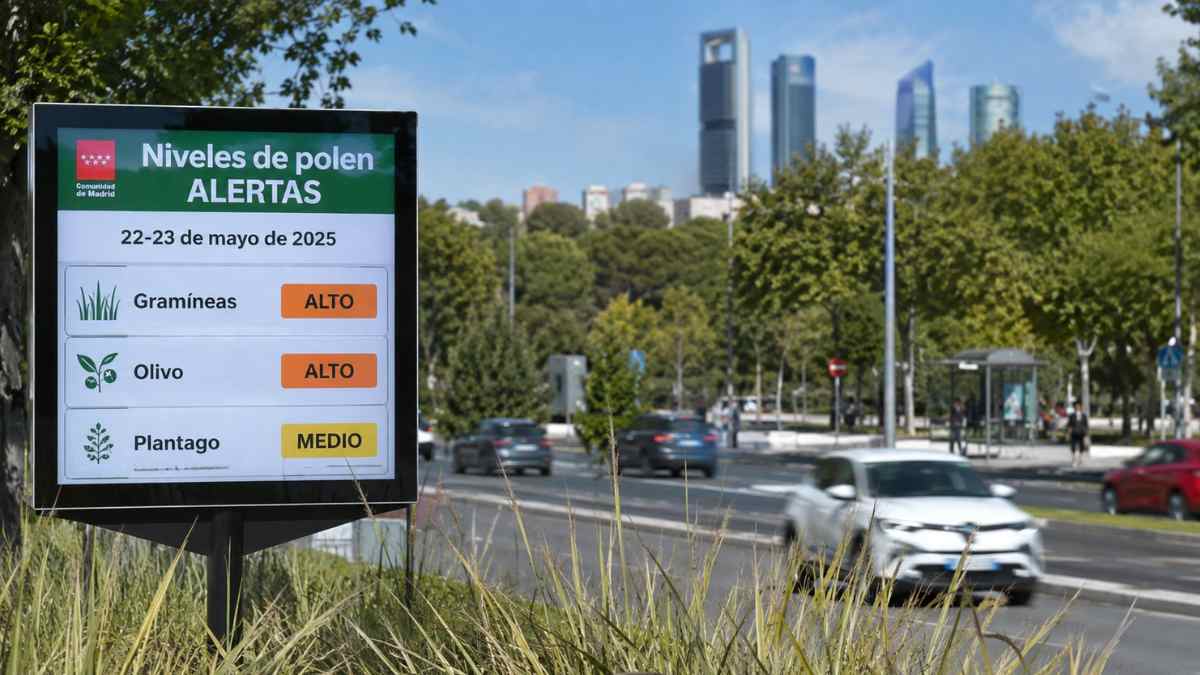 Madrid alerta por altos niveles de polen de gramíneas y olivo en varios barrios y municipios de la Comunidad