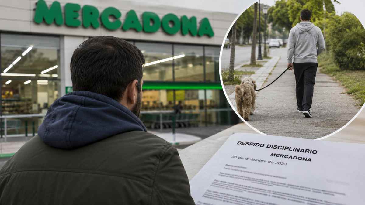 Gerente de Mercadona despedido durante una baja por lumbociática tras ser visto paseando al perro y haciendo la compra