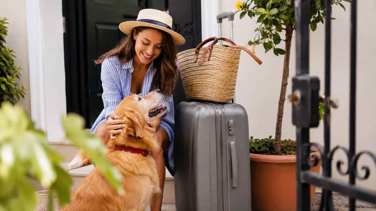 Viajar con perro durante las vacaciones en un alojamiento pet friendly para ahorrar dinero