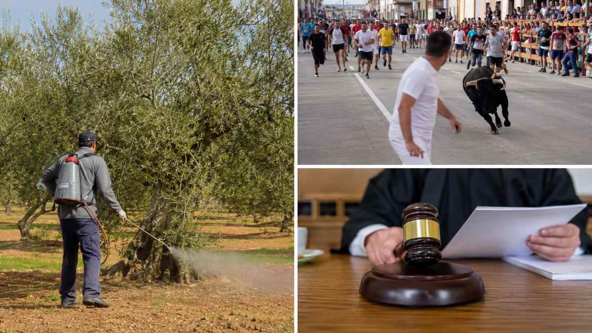 Trabajador en un olivar y corredores junto a toros en una imagen relacionada con el despido de un empleado de baja por depresión