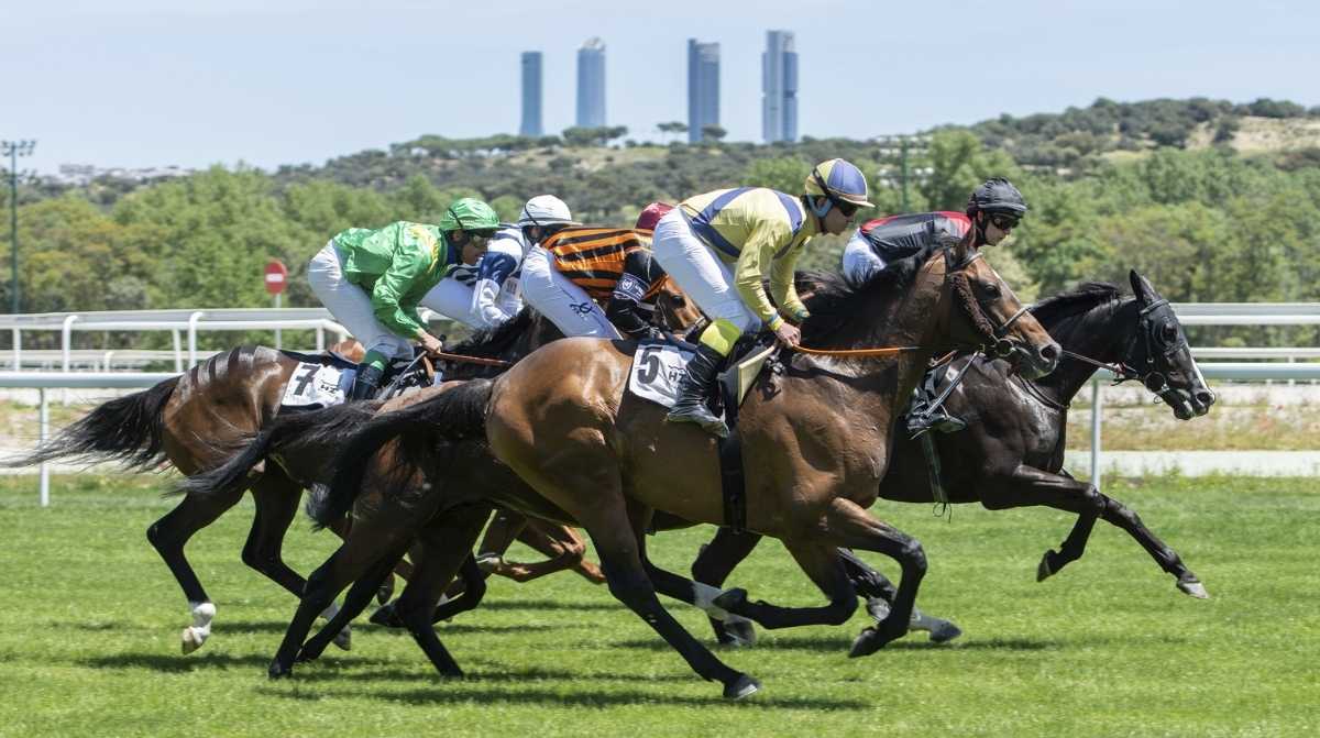 Carrera de caballos en el Hipódromo de la Zarzuela antes del Gran Premio de Madrid