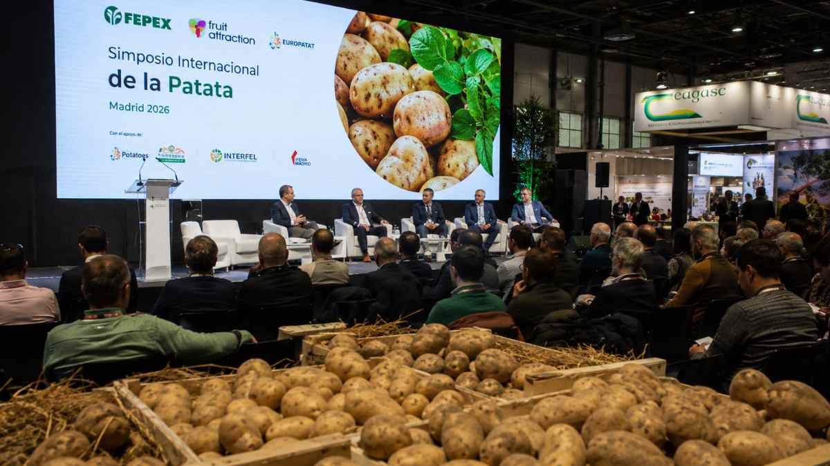 Simposio Internacional de la Patata en Madrid antes de Fruit Attraction 2026 con profesionales del sector agroalimentario