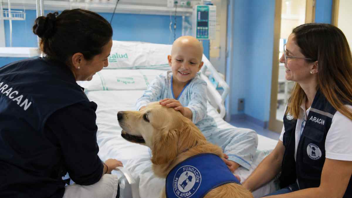Niño hospitalizado participa en una sesión de terapia asistida con perros en un hospital de Madrid junto a profesionales sanitarios.