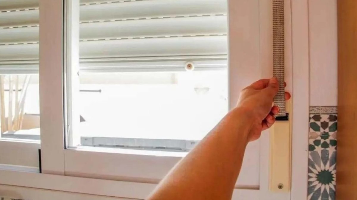 Persona subiendo una persiana para dejar entrar luz a las plantas antes de irse de vacaciones.