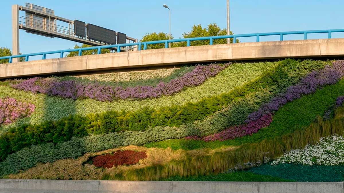 Jardines verticales de Ventas en la M-30 con plantas de colores junto a la carretera
