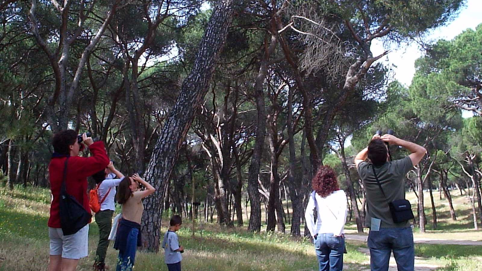 Participantes observando aves durante una actividad ambiental en una zona verde de Madrid