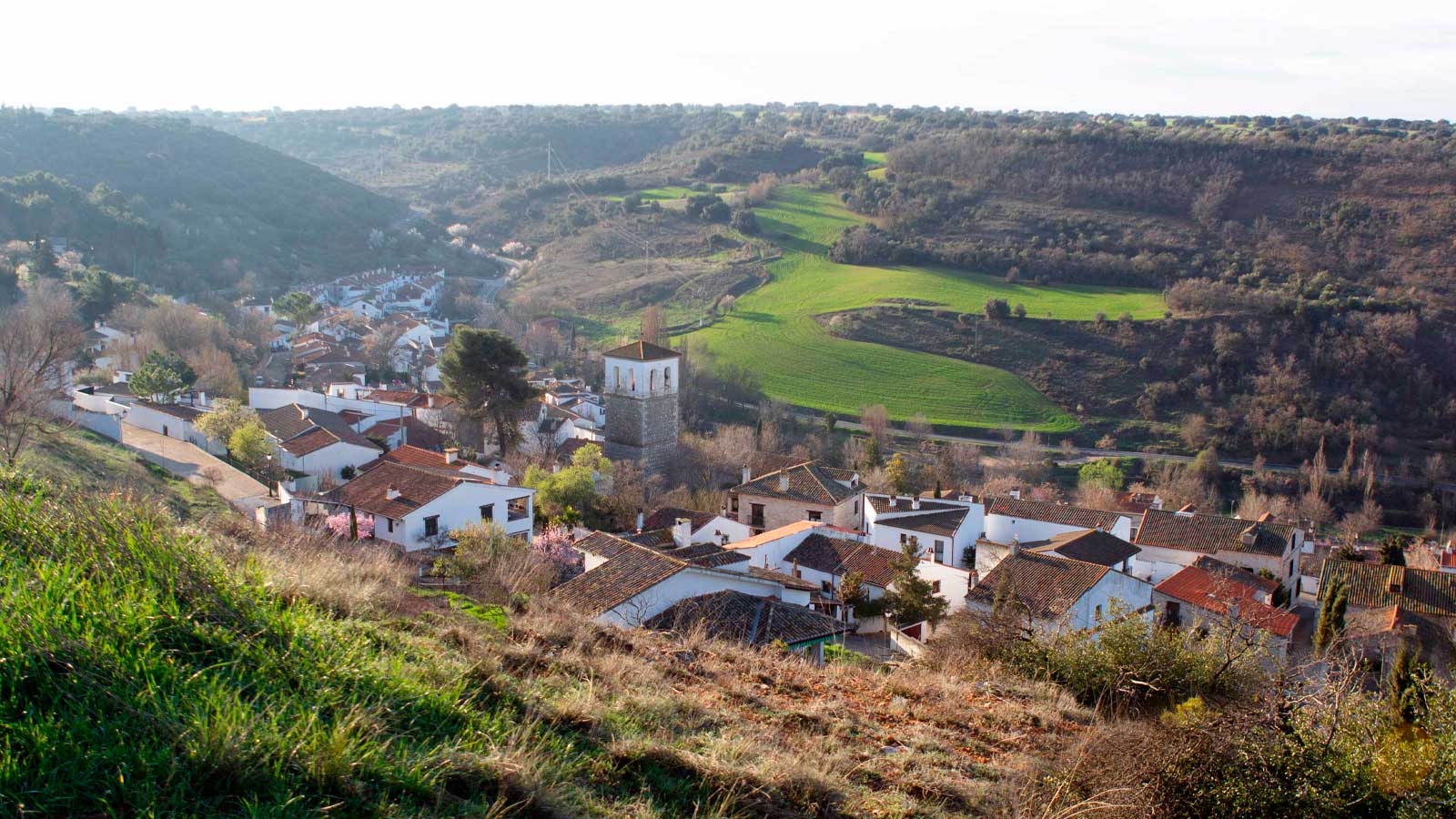 Vista panorámica de Olmeda de las Fuentes, con sus casas blancas, la torre de la iglesia y el paisaje verde de la Alcarria madrileña.